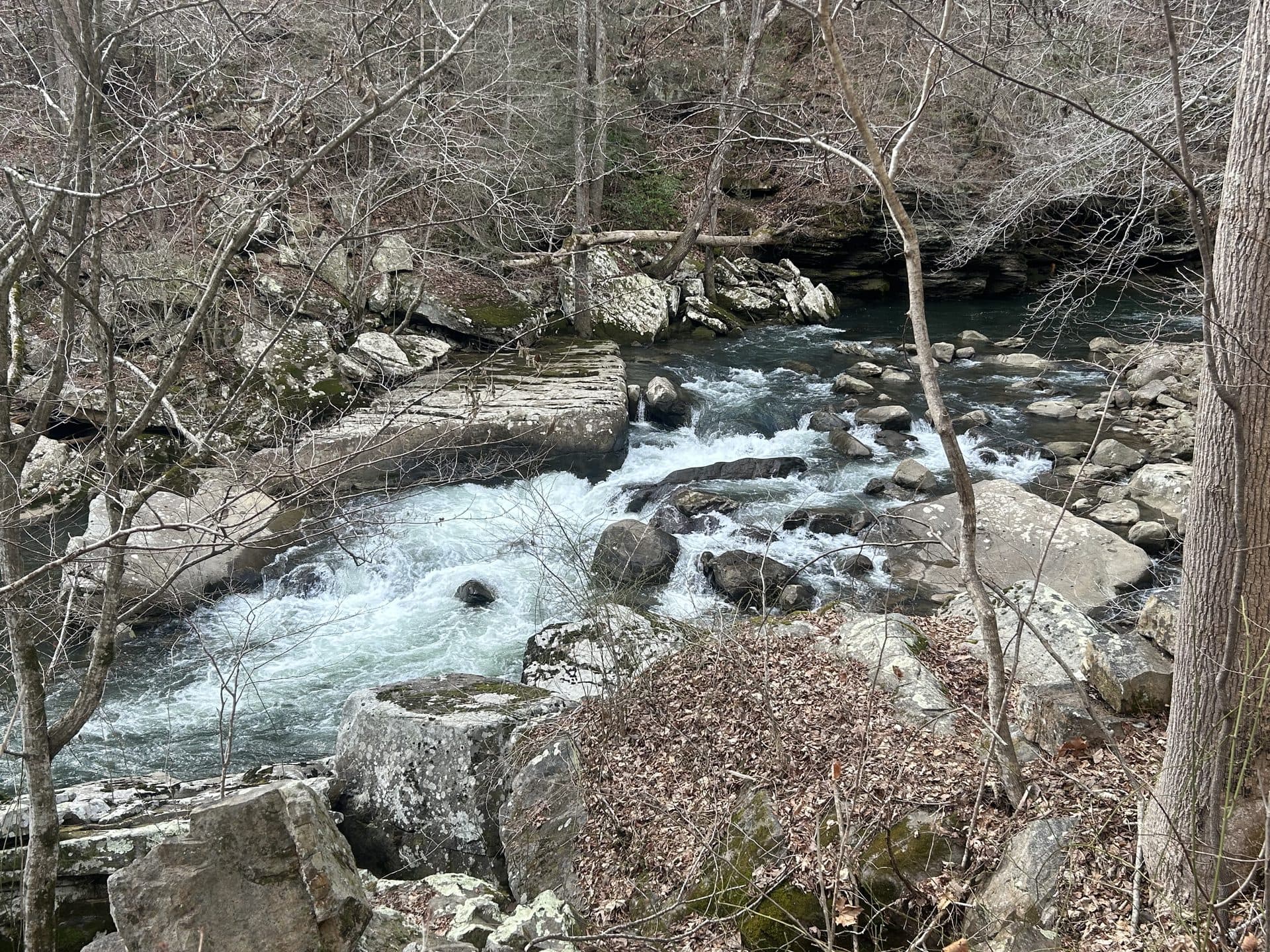 Richland Creek rapids — Laurel-Snow Natural Area, Dayton TN
